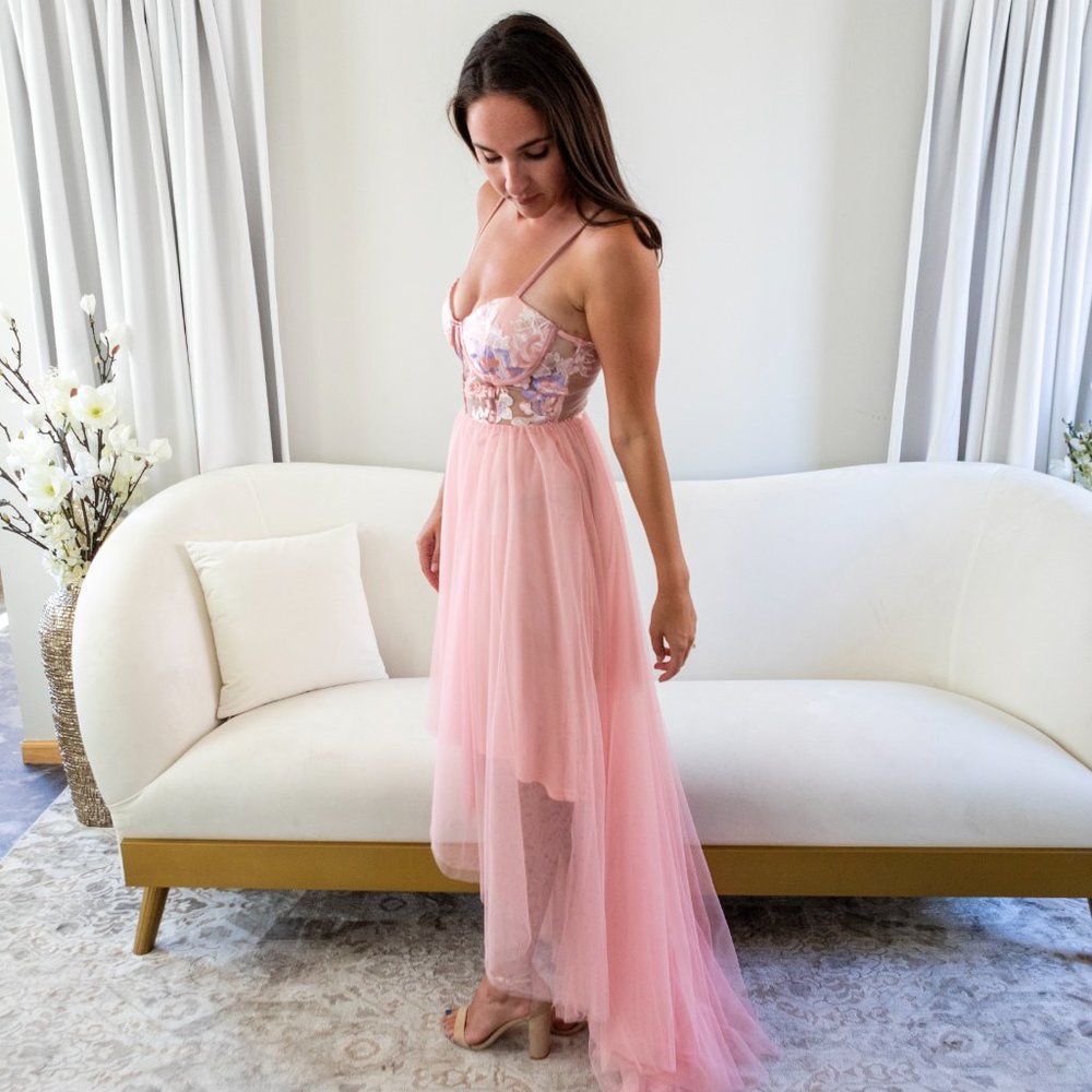 Sweeter In Mesh Maxi Dress - Blush Size Small
